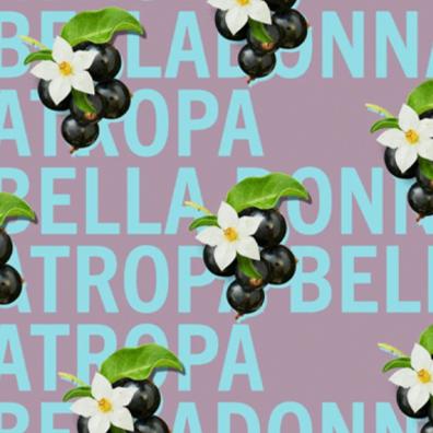 Atropa Belladonna